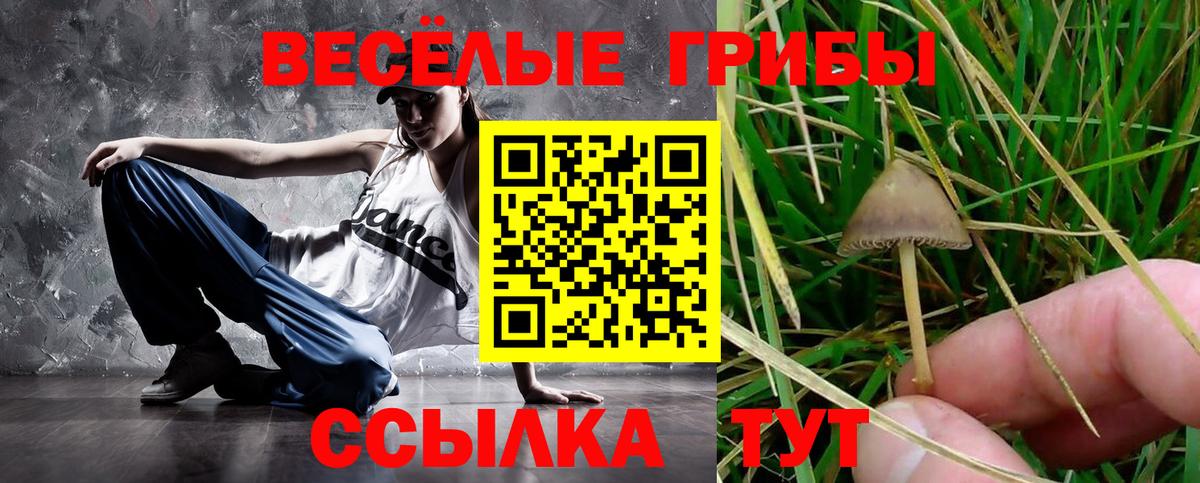 Галлюциногенные грибы мицелий Урюпинск