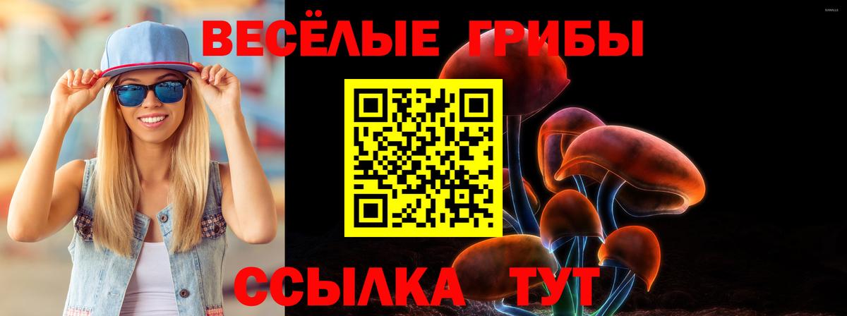 Урюпинск  Галлюциногенные грибы мицелий  Вход с VPN 